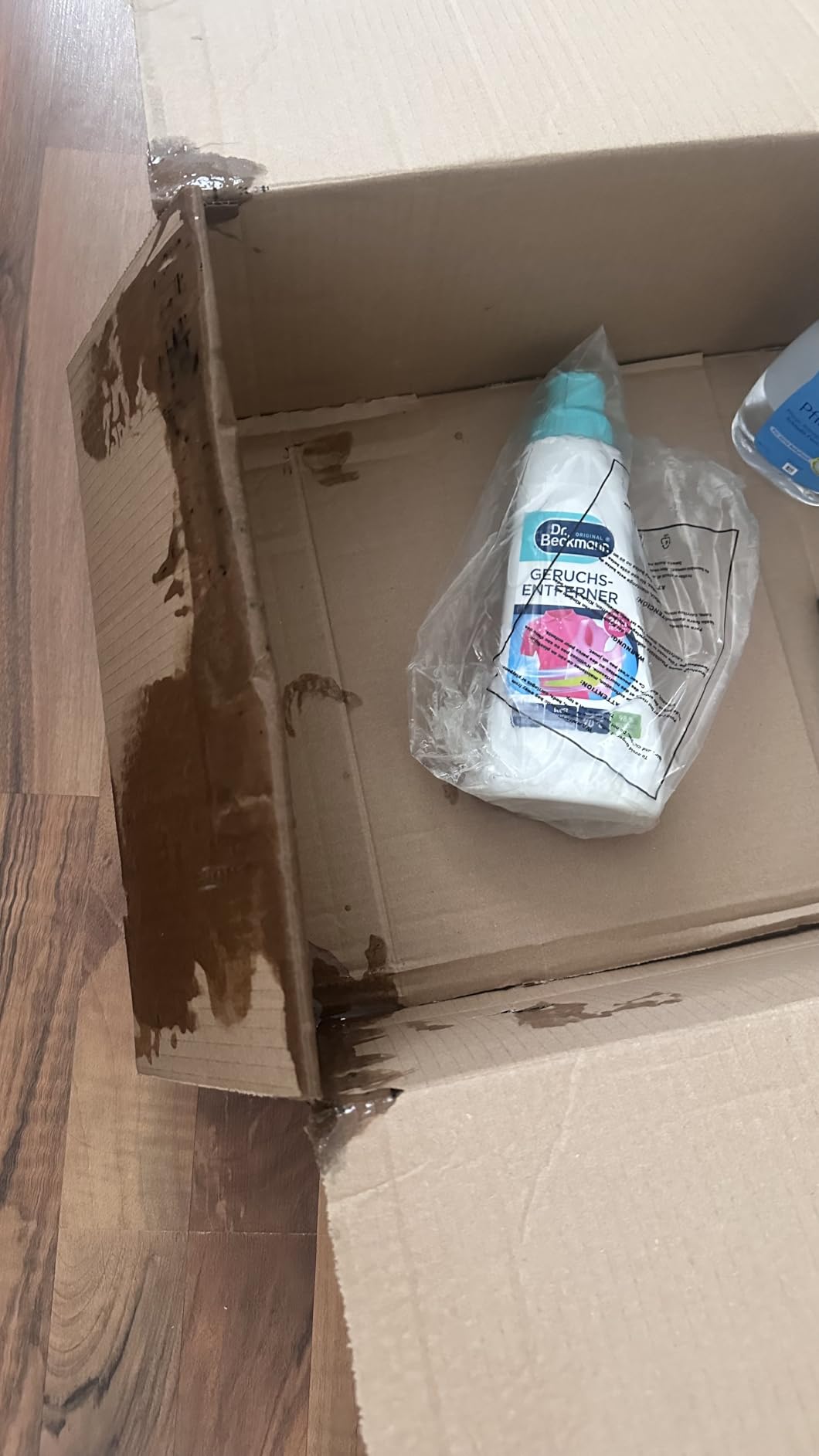 Sofa und Hundedecke gerettet