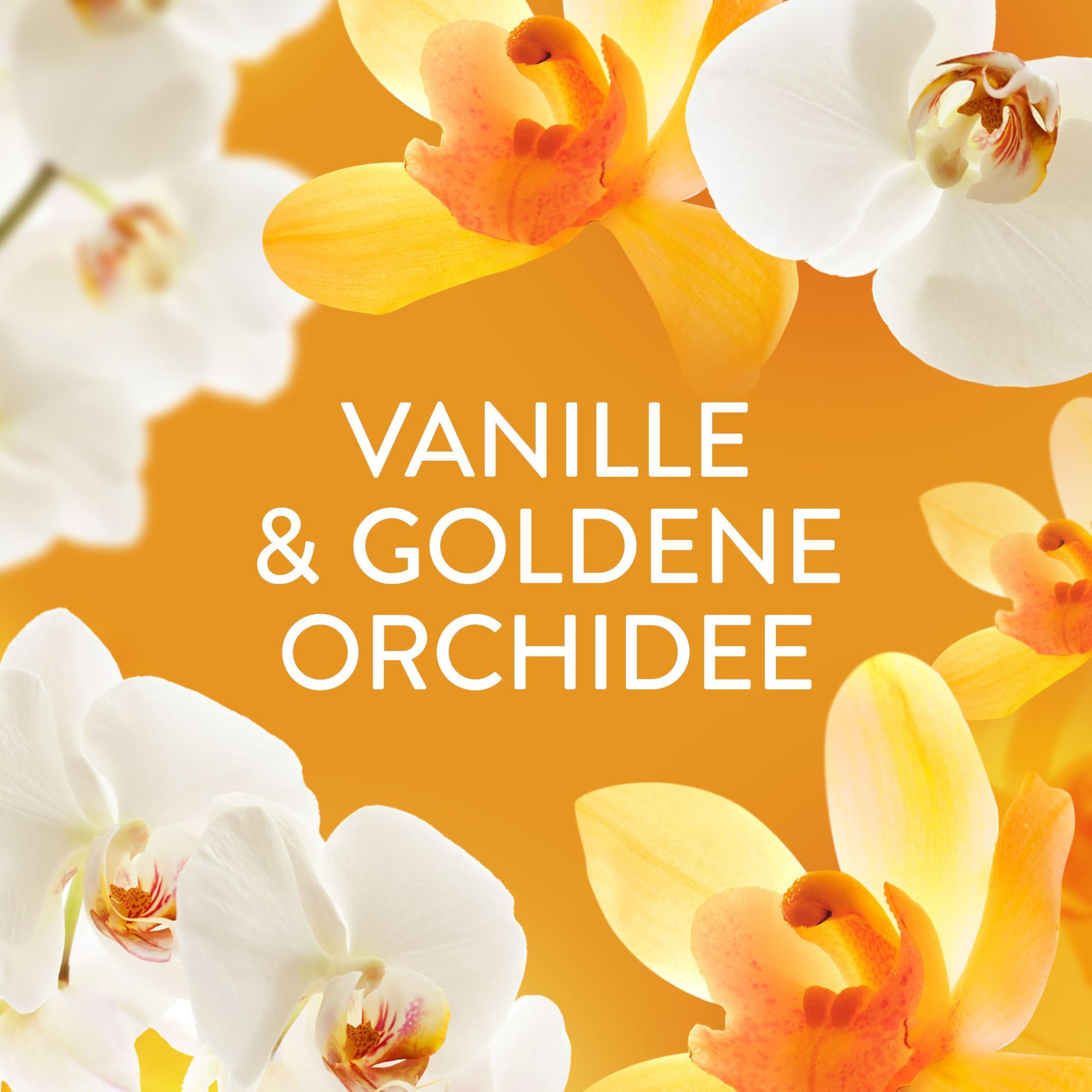 lenor-w-scheparf-m-goldene-orchidee-495g-duftperlen image 3
